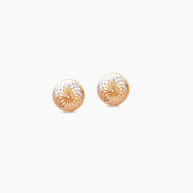 18K Tri-Color Gold Earrings