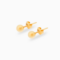 18K Yellow Gold Earrings