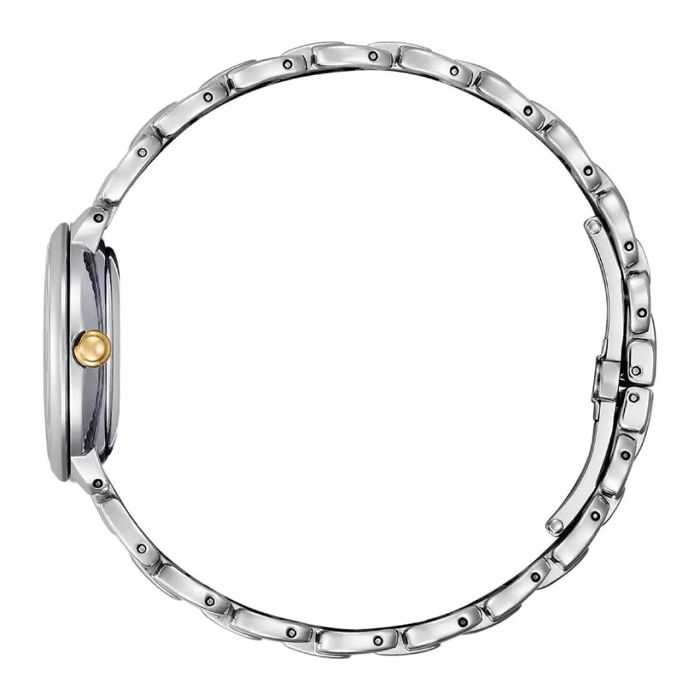 Citizen Eco-Drive 