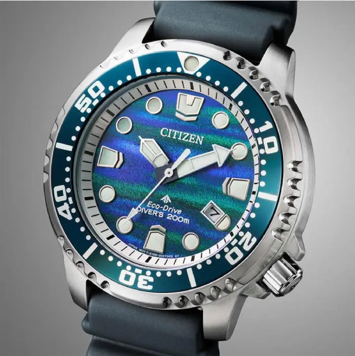 Citizen Promaster 