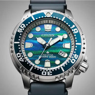 Citizen Promaster 